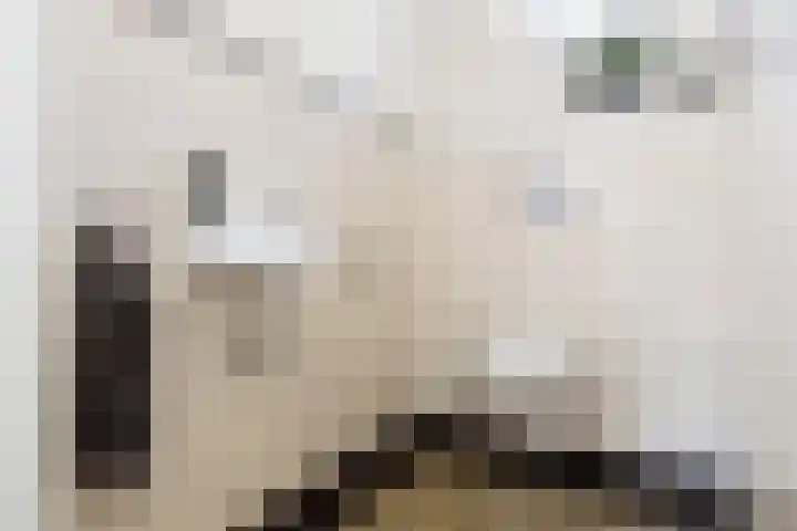 Om 't Hof 4 Montfoort thumbnail 7