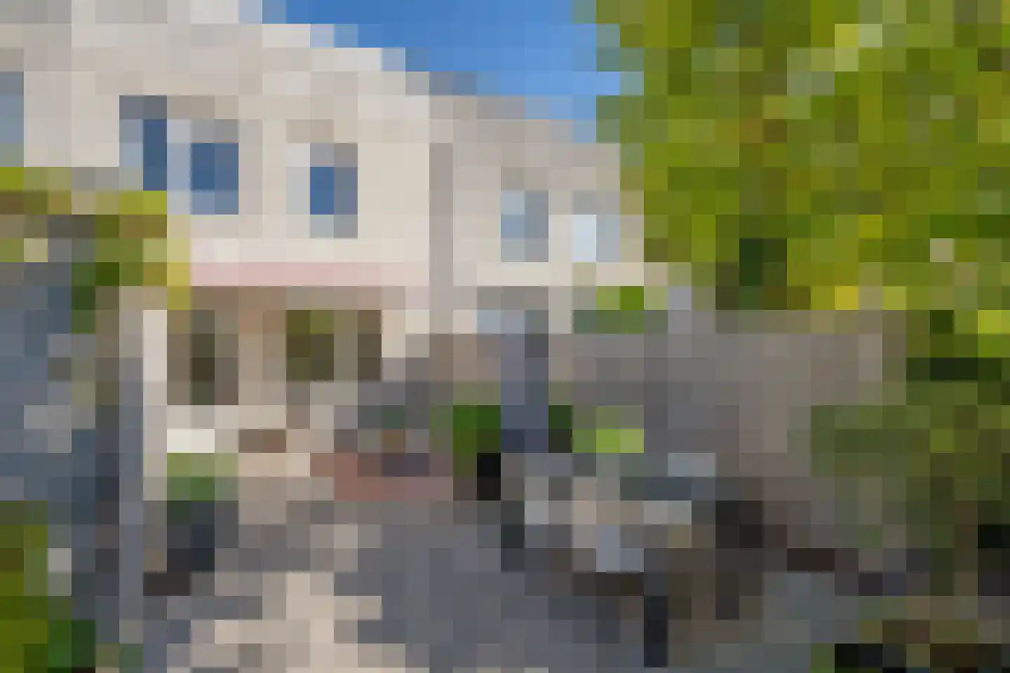 Omanstraat 55 Delft thumbnail 7