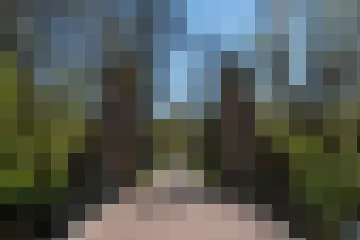 Ombilinstraat 24 Amsterdam thumbnail 25
