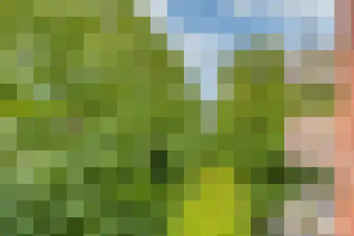 Ombilinstraat 24 Amsterdam thumbnail 6