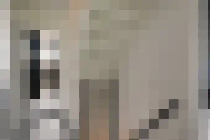 Omdraai 15 Wieringerwerf thumbnail 23