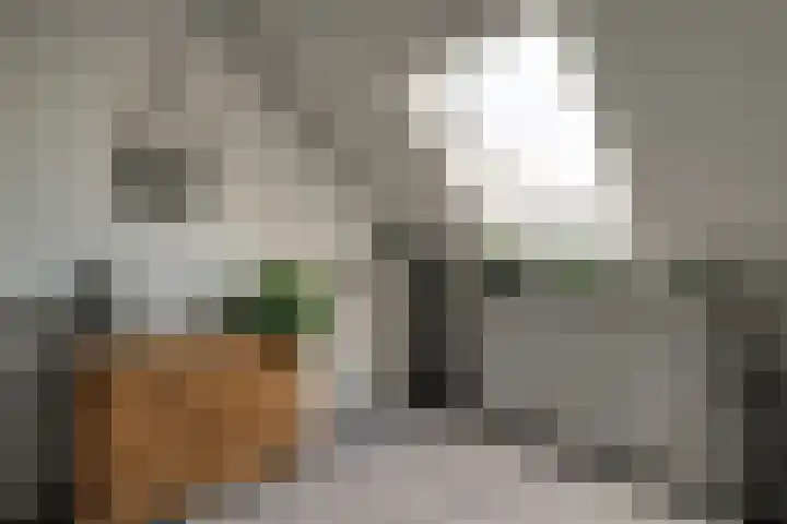 Omdraai 15 Wieringerwerf thumbnail 25