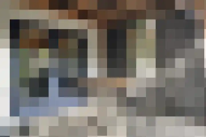 Omdraai 15 Wieringerwerf thumbnail 49