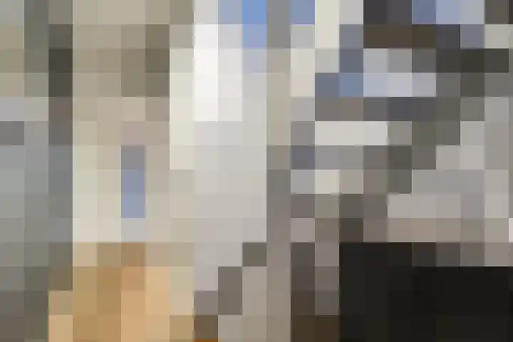Omdraai 15 Wieringerwerf thumbnail 9