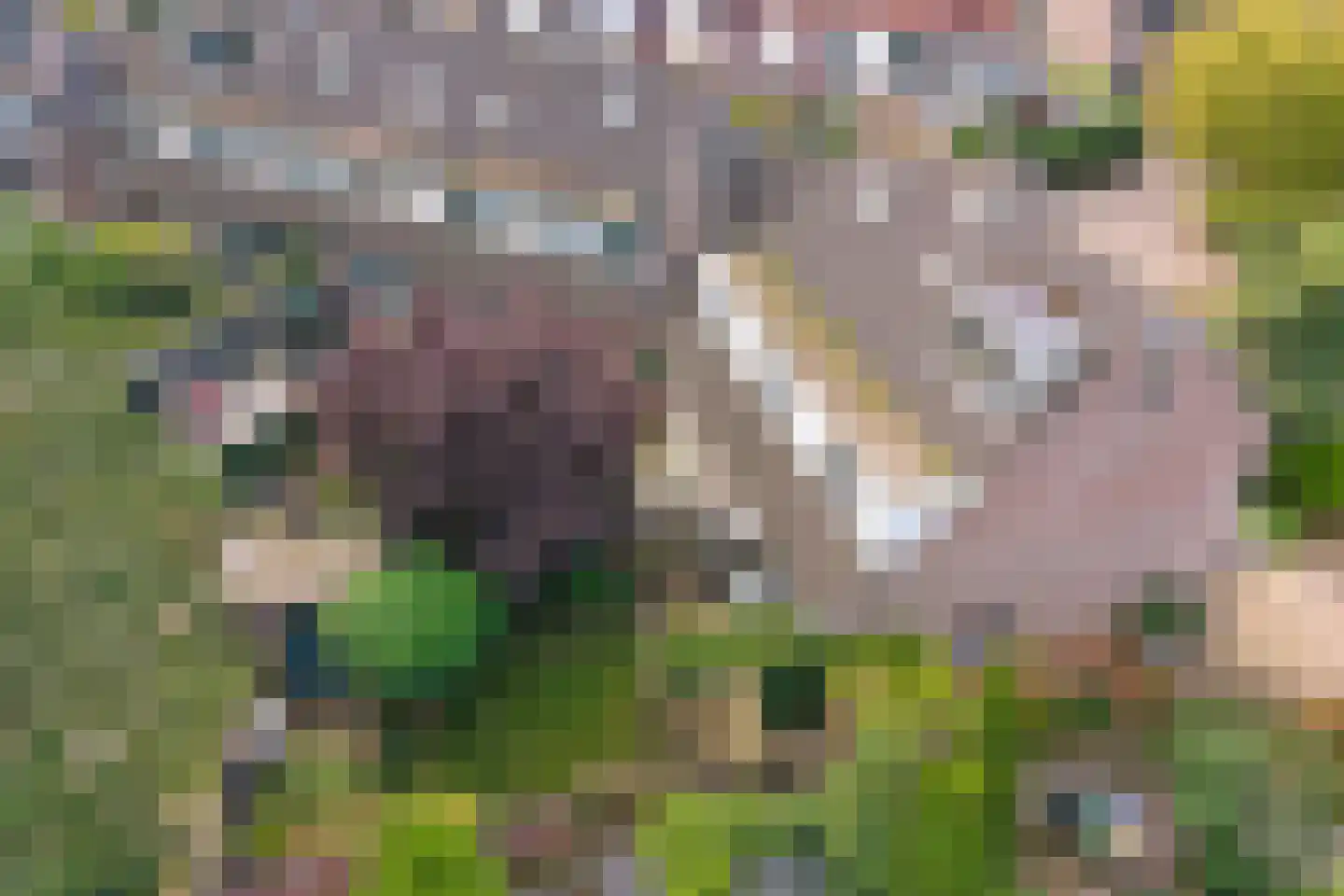 Omdraai 16 Wieringerwerf thumbnail 45