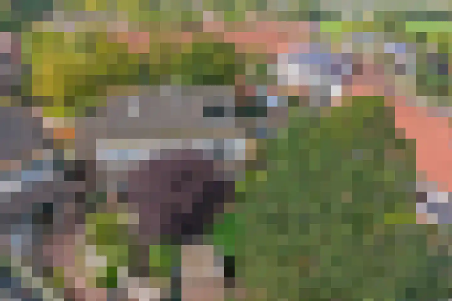 Omdraai 16 Wieringerwerf thumbnail 56