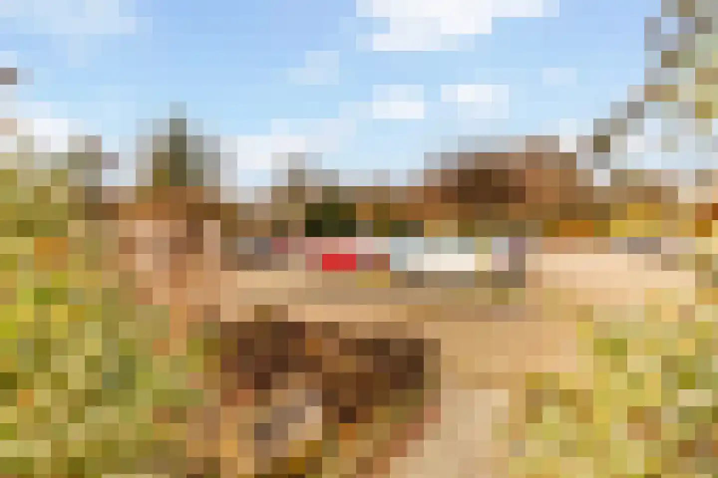 Omerinkweg 106 Deventer thumbnail 25