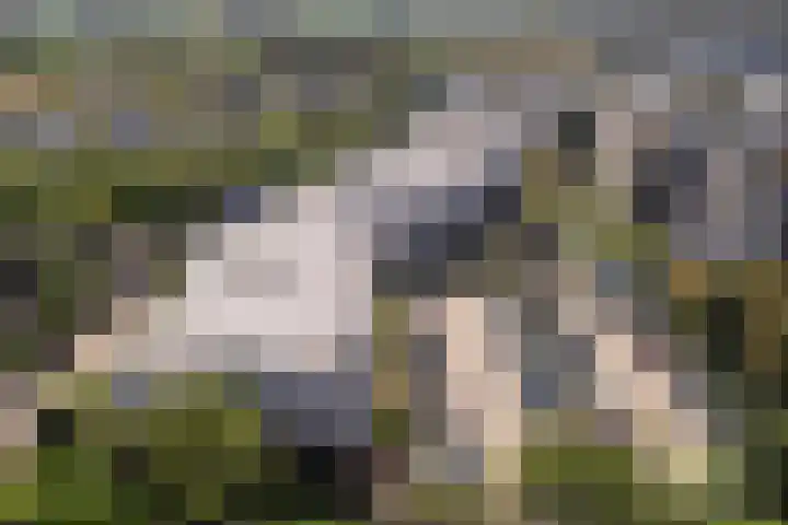 Omerinkweg 6 Deventer thumbnail 29