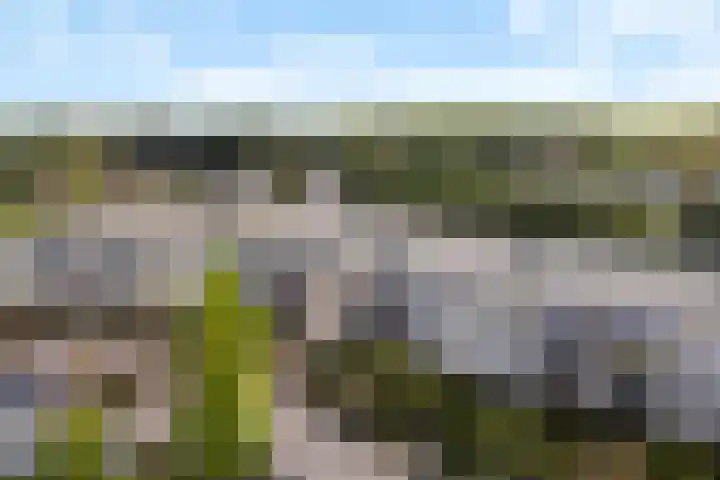 Omerinkweg 6 Deventer thumbnail 30