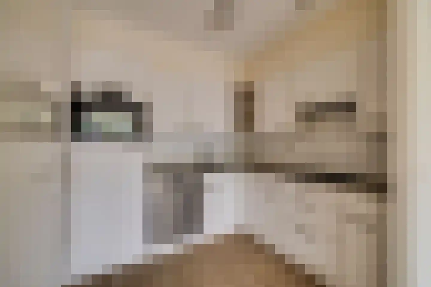 Omerinkweg 64 Deventer thumbnail 8