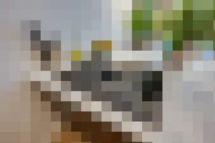 Omgang 12 Etten-Leur thumbnail 12