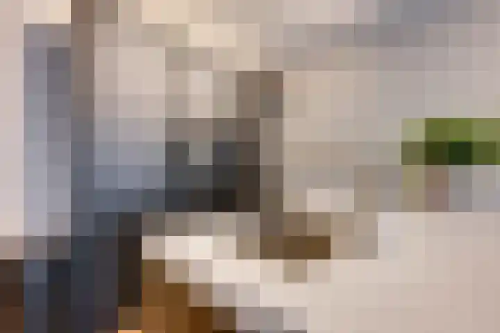 Omgang 12 Etten-Leur thumbnail 13