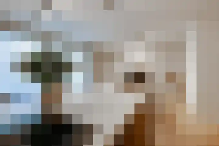 Omgang 12 Etten-Leur thumbnail 14