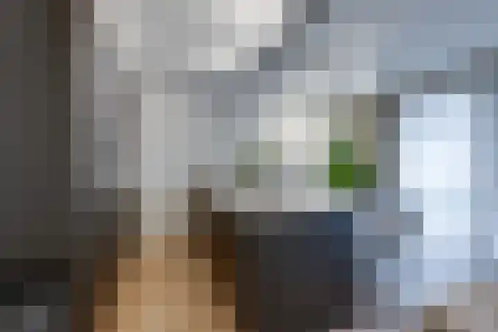 Omgang 12 Etten-Leur thumbnail 15