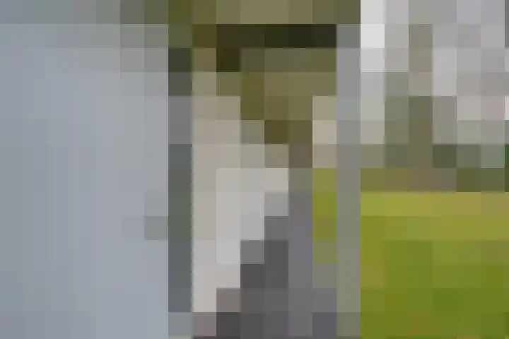 Omgang 12 Etten-Leur thumbnail 22