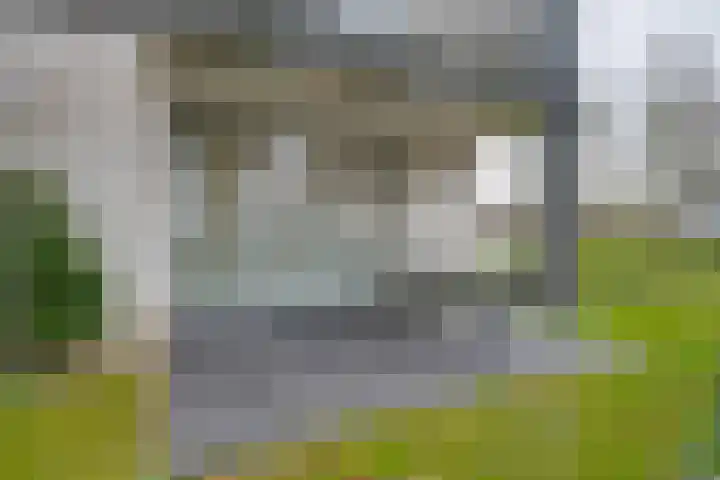Omgang 12 Etten-Leur thumbnail 23