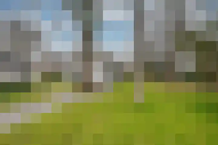 Omgang 12 Etten-Leur thumbnail 27
