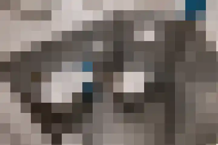 Omgang 12 Etten-Leur thumbnail 5