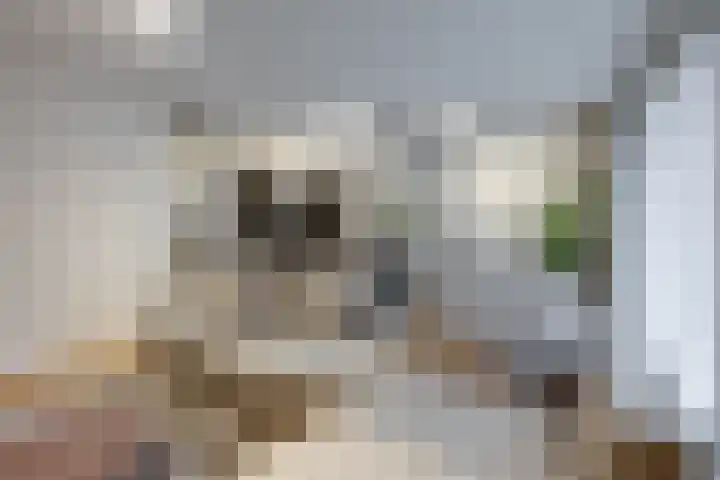 Omgang 12 Etten-Leur thumbnail 7