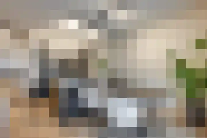 Omgang 12 Etten-Leur thumbnail 8