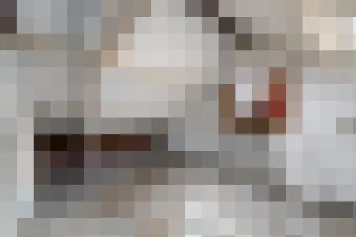 Omgang 18 Wolvega thumbnail 30