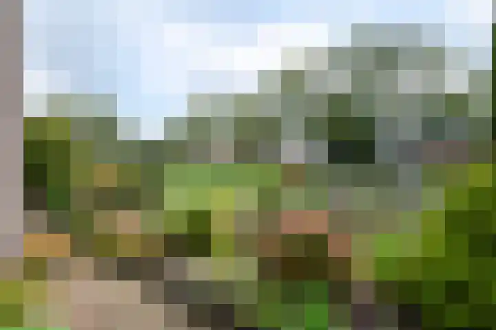 Omgang 18 Wolvega thumbnail 38
