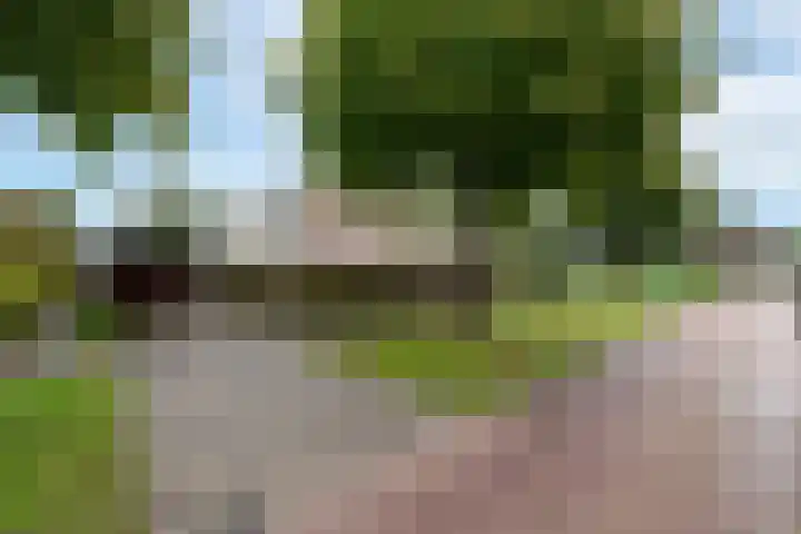 Omgang 18 Wolvega thumbnail 39