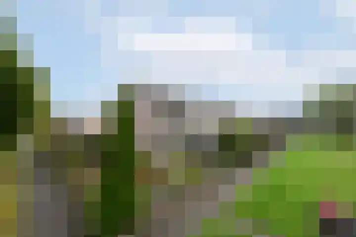 Omgang 18 Wolvega thumbnail 40
