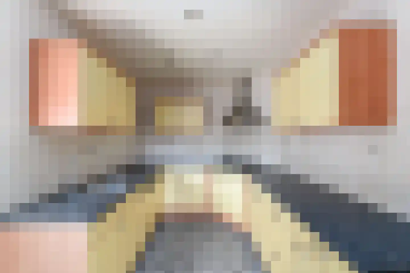 Omgang 92 Wolvega thumbnail 10