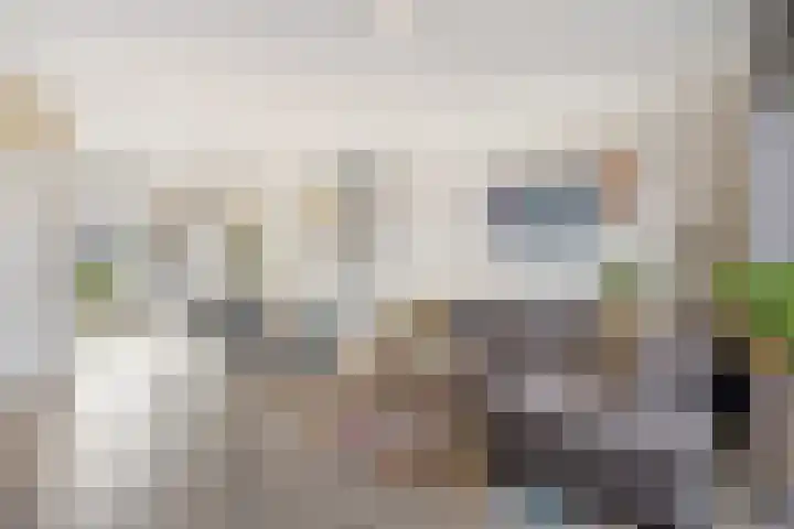 Omganglaantje 12 Schaijk thumbnail 13