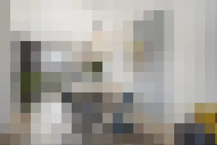 Omganglaantje 12 Schaijk thumbnail 15