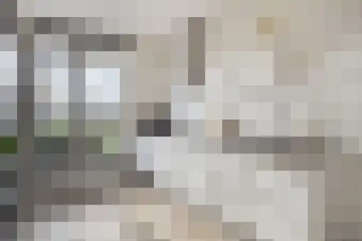 Omganglaantje 12 Schaijk thumbnail 16