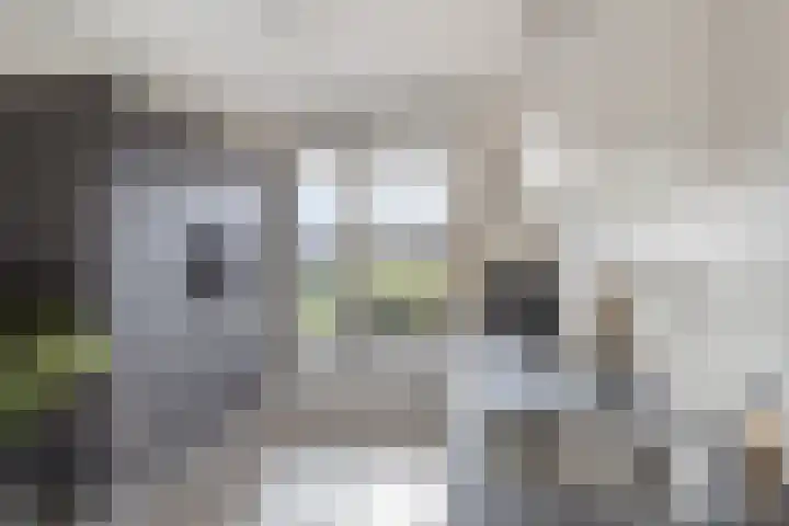 Omganglaantje 12 Schaijk thumbnail 17