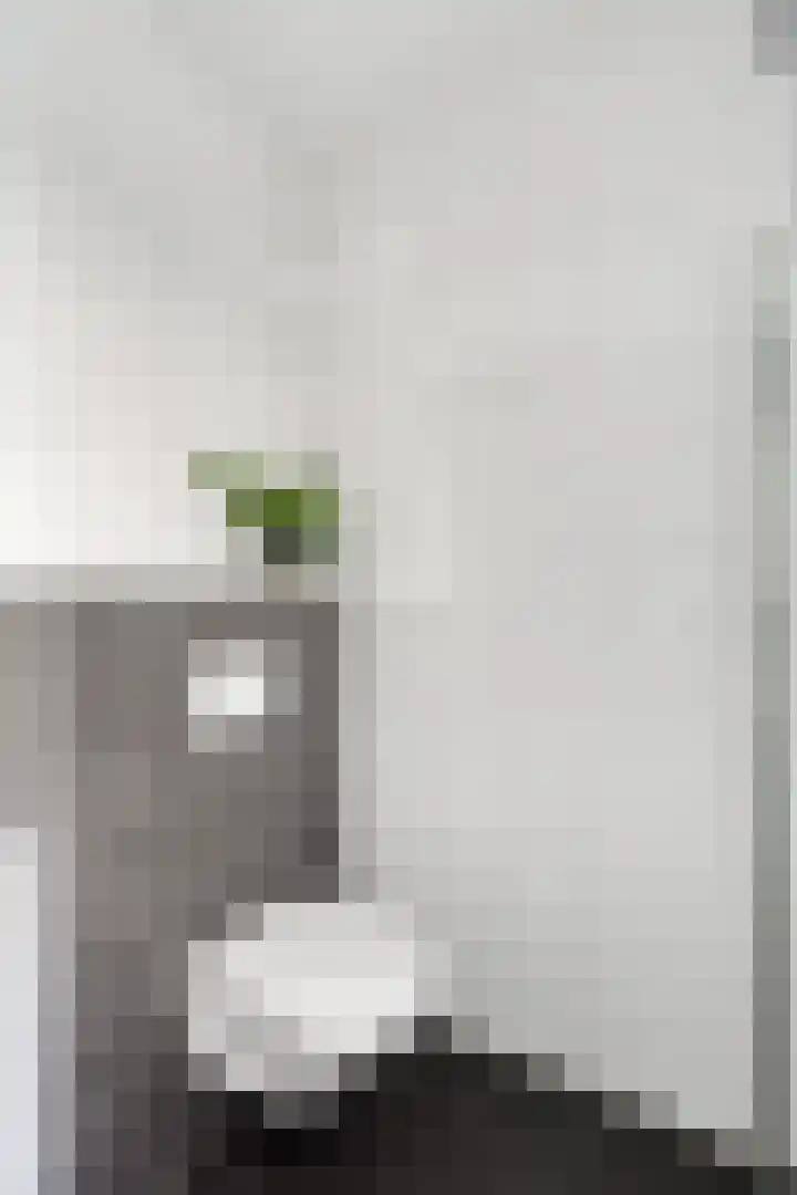 Omganglaantje 12 Schaijk thumbnail 23