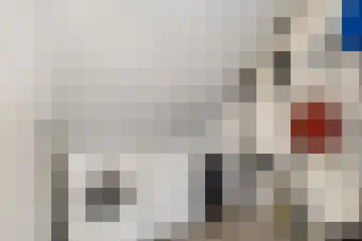 Omganglaantje 12 Schaijk thumbnail 30