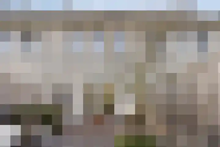 Omganglaantje 12 Schaijk thumbnail 32