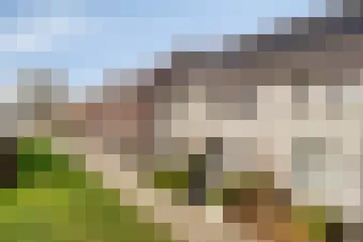 Omganglaantje 12 Schaijk thumbnail 38