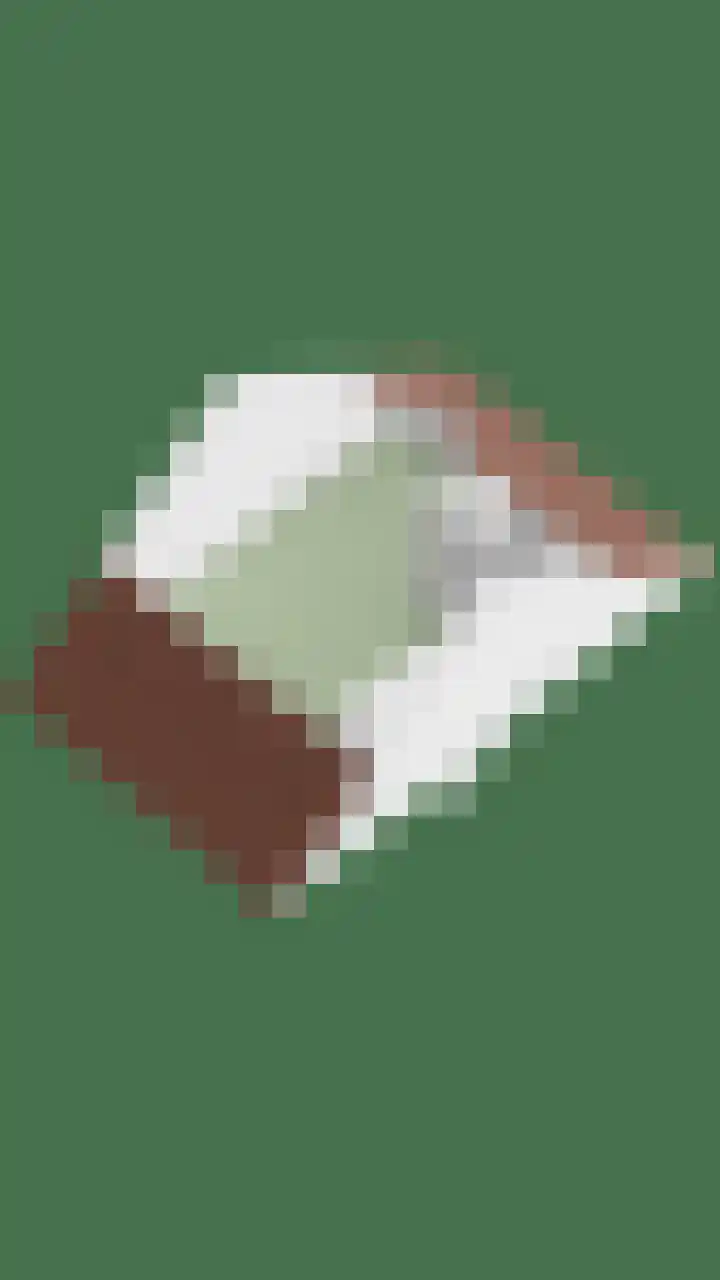 Omganglaantje 12 Schaijk thumbnail 47