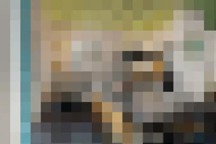 Omgong 2 Ie thumbnail 11