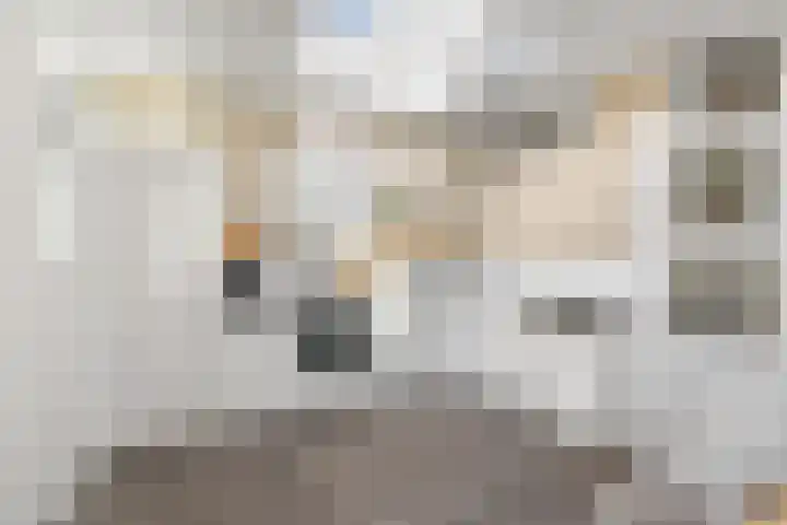 Omgong 2 Ie thumbnail 24