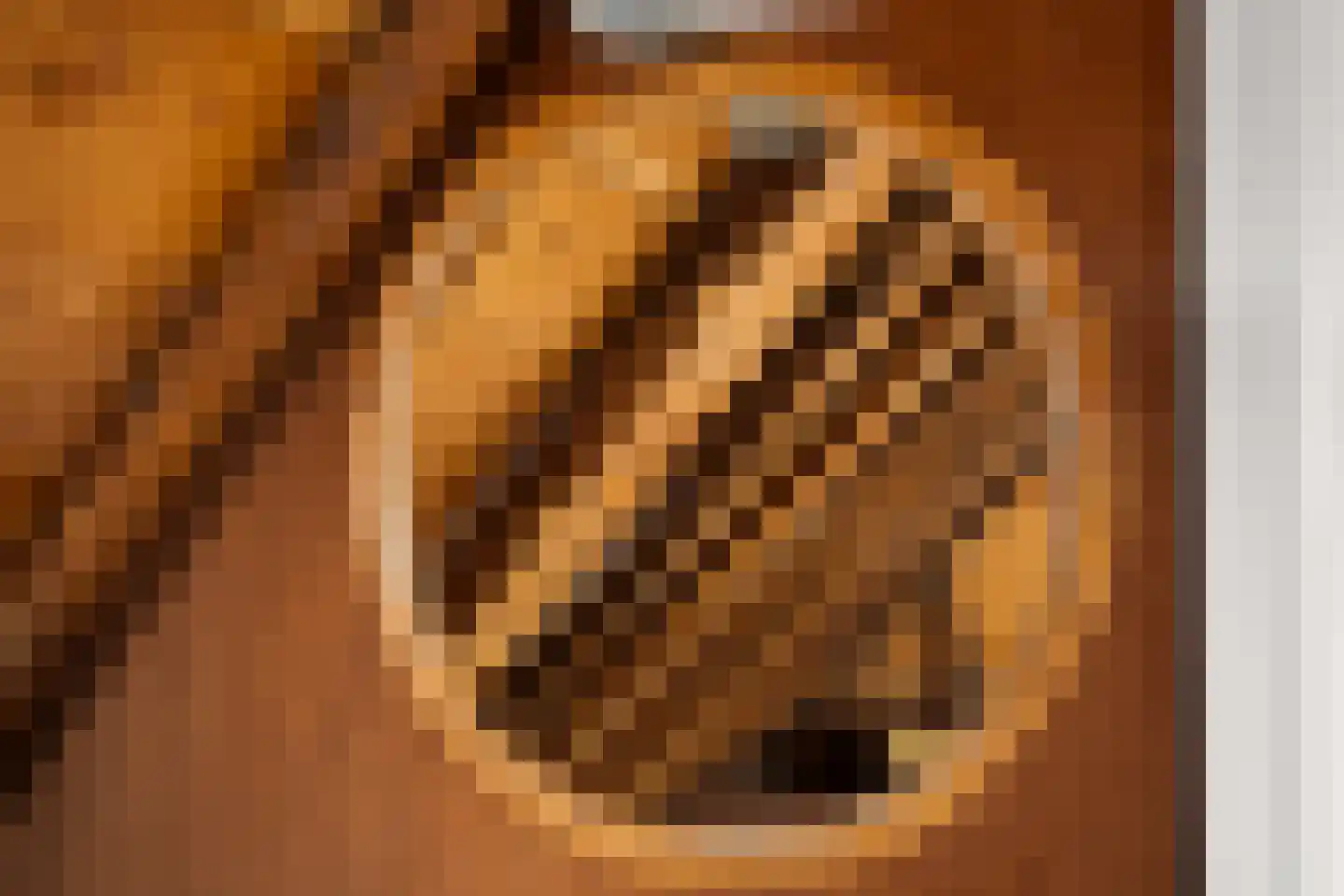 Omgong 2 Ie thumbnail 24