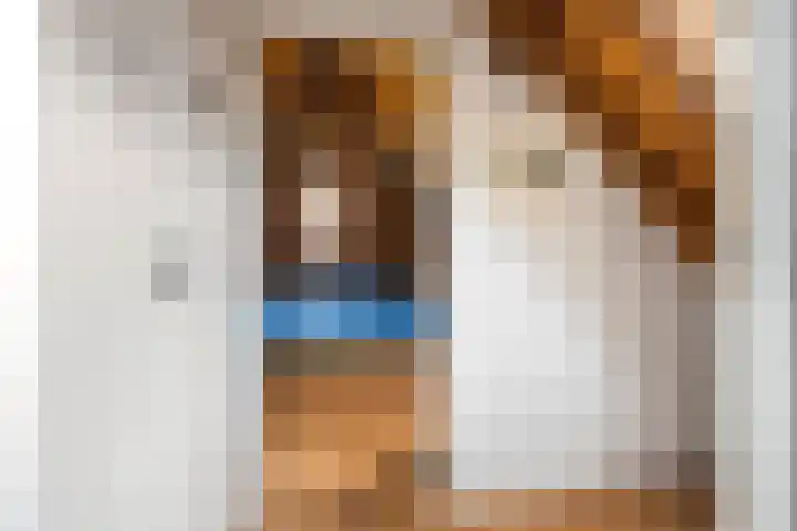 Omgong 2 Ie thumbnail 26
