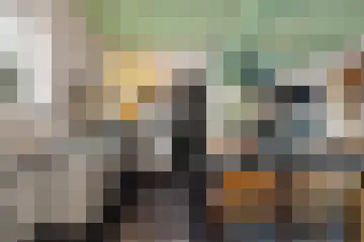 Omgong 2 Ie thumbnail 9