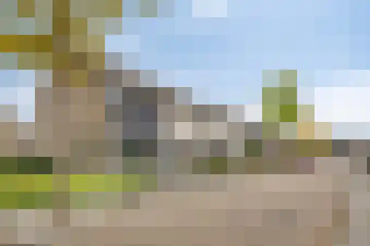 Omloop 1 Bergen op Zoom thumbnail 25