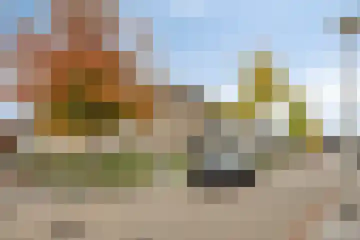 Omloop 1 Bergen op Zoom thumbnail 27