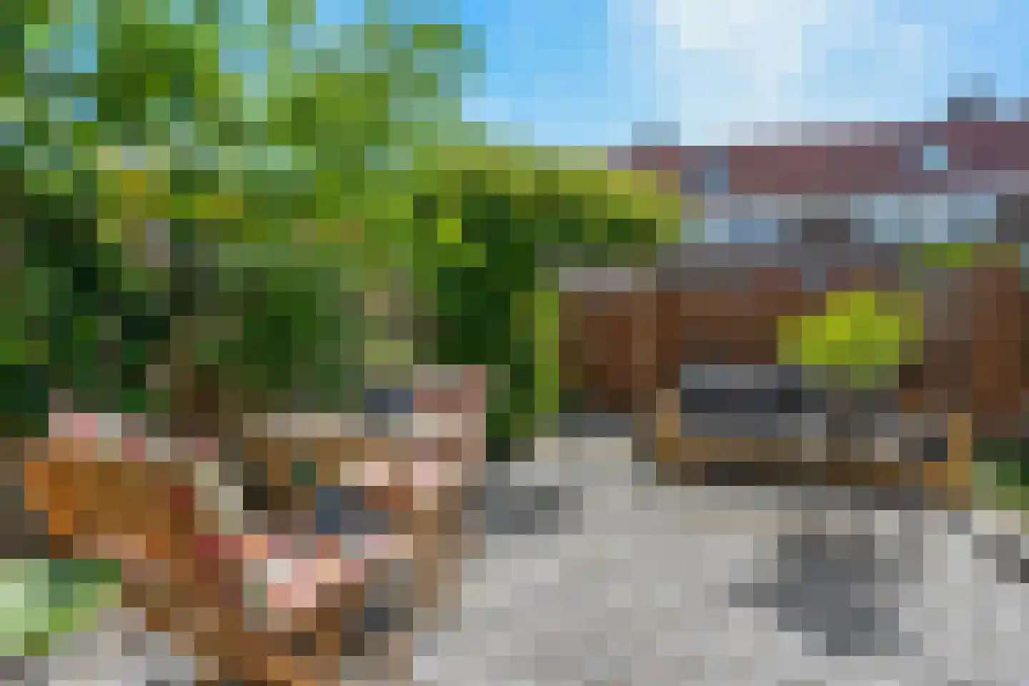 Omloop 10 Waddinxveen thumbnail 29