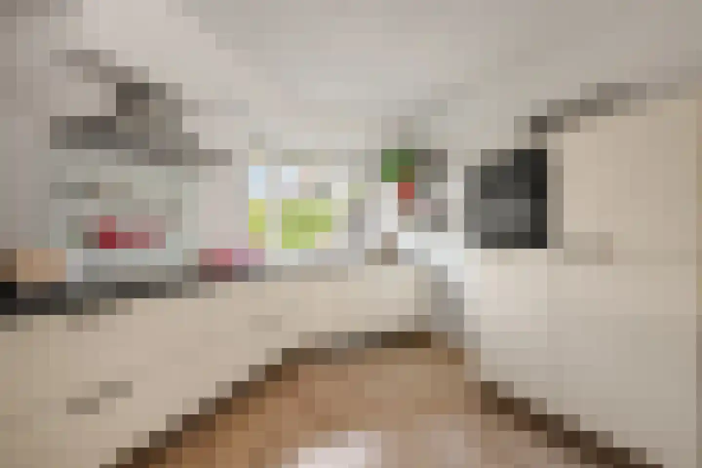 Omloop 10 Waddinxveen thumbnail 8