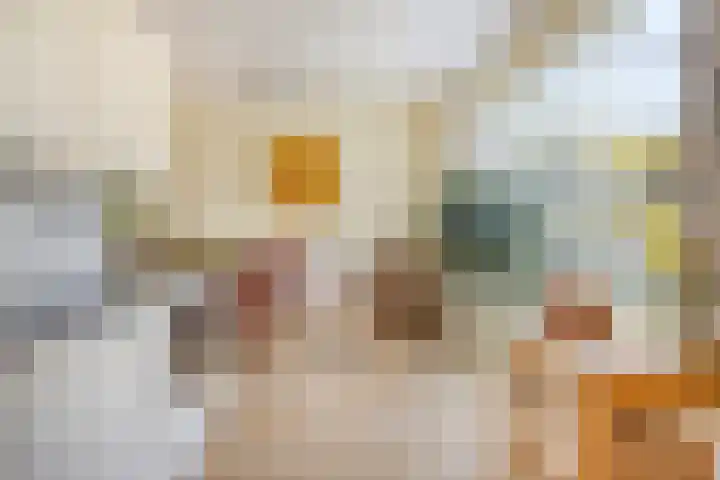 Omloop 11 Dinteloord thumbnail 12