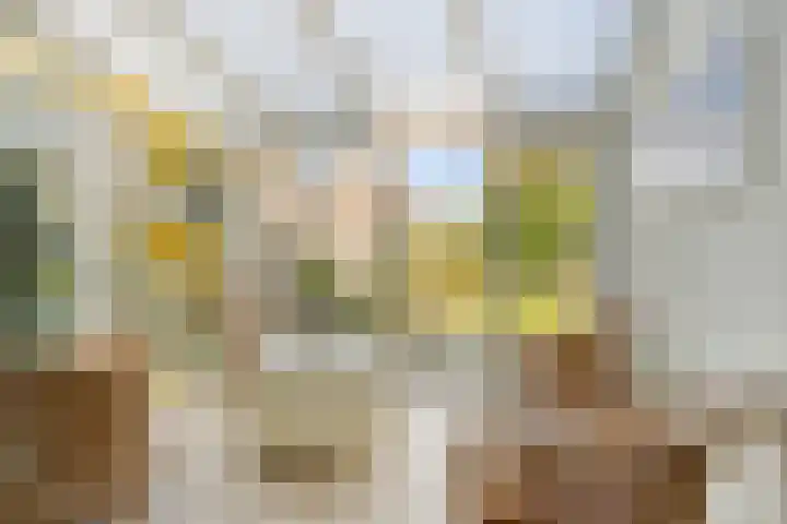 Omloop 11 Dinteloord thumbnail 14