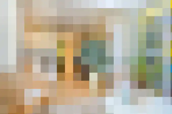 Omloop 11 Dinteloord thumbnail 15